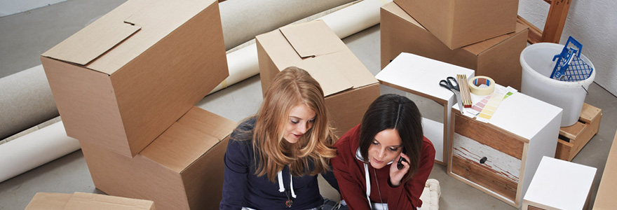 cartons de déménagement